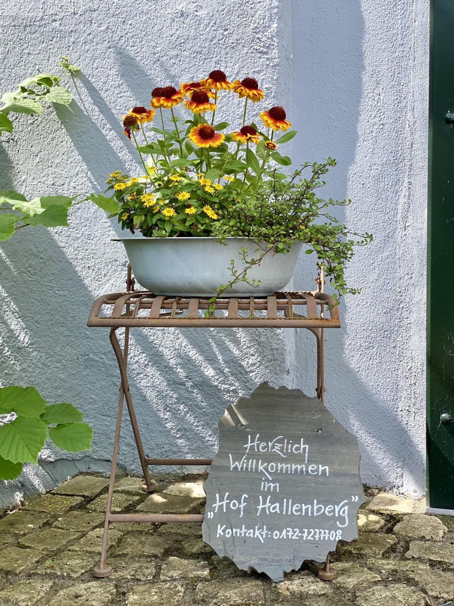 Hof Hallenberg Zewnętrze zdjęcie