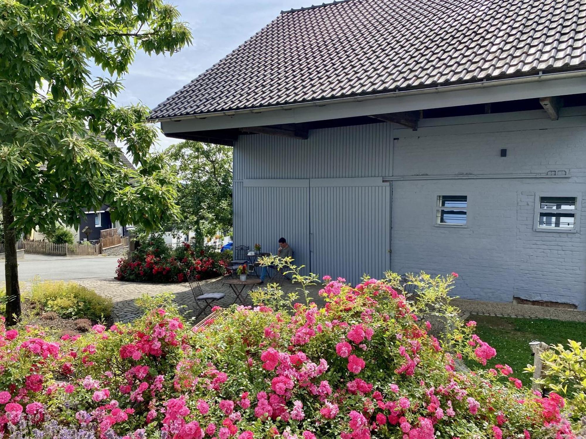 Hof Hallenberg Zewnętrze zdjęcie